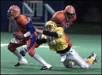 Lions Sack